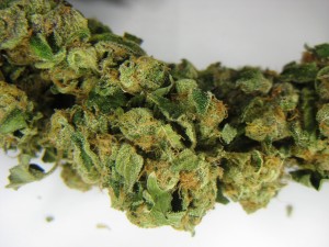 GSC-IMG_8584